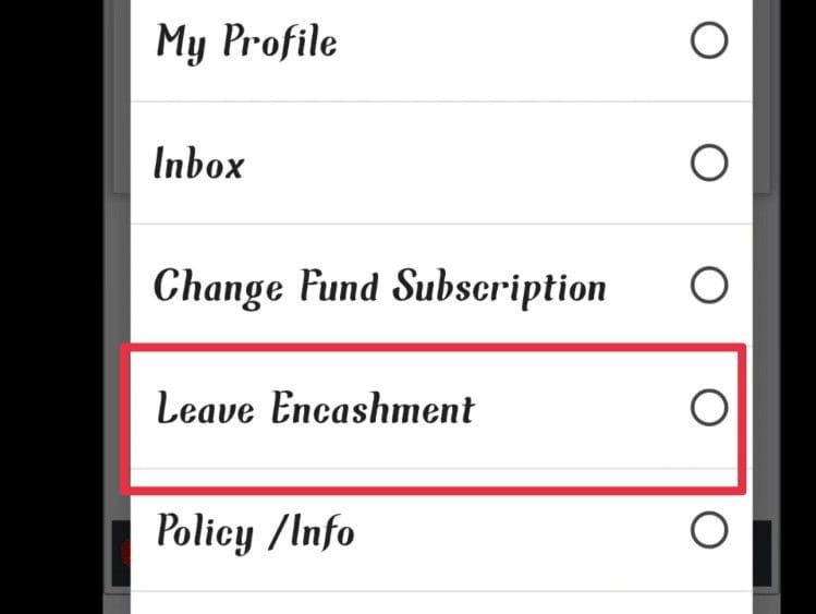 Hamraaz Leave Encashment